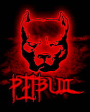 pic for pitt bull